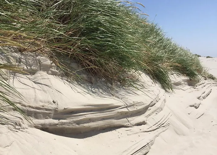 Restaurant Friedrichs