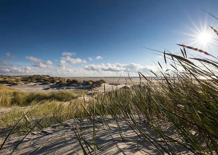 Hotel Restaurant Friedrichs